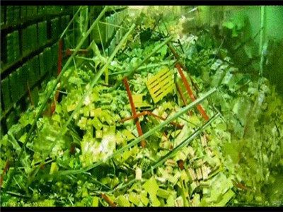 different forklifts 1