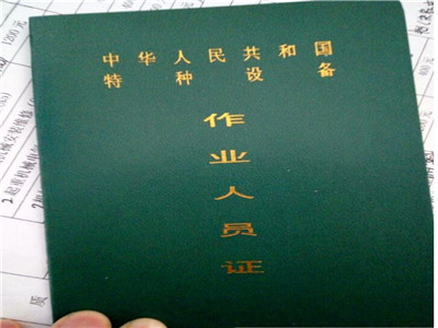 automatic pallet lifter