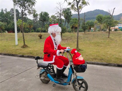  the perfect christmas