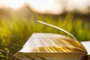 Electric forklift manufacturer: how to scientifically train employees