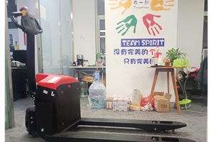 Why are there problems with the battery plate of the electric pallet jack?