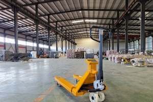 Analysis and treatment of common faults of electronic scale trucks