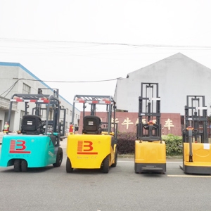 Skip Big Brands: Newnewton Forklift Jiangsu Province – Direct Factory Supply