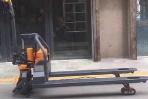 Newnewton Self Loading Pallet Jack: Efficient Handling Solution