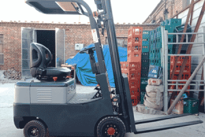 Newnewton Forklift | Professional Source Factory in Taixing