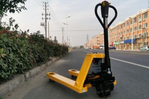 Newnewton Electric Pallet Truck | Cost-effective Forklift from Jiangsu