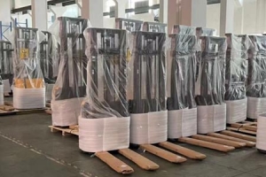 Newnewton Forklift | Professional China Electric Forklift Source Factory Direct