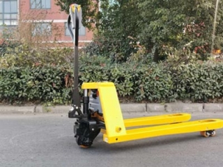 20 Years Factory Taixing Newnewton Forklift With Spot Goods & Customization
