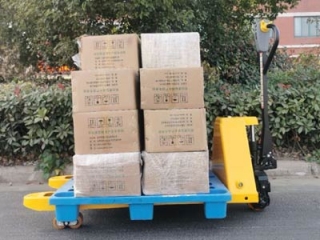Differences Between Electric Double Pallet Jack |  Standard Electric Pallet Jack